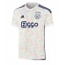 Ajax Steven Berghuis #23 Replika Udebanetrøje 2023-24 Kortærmet
